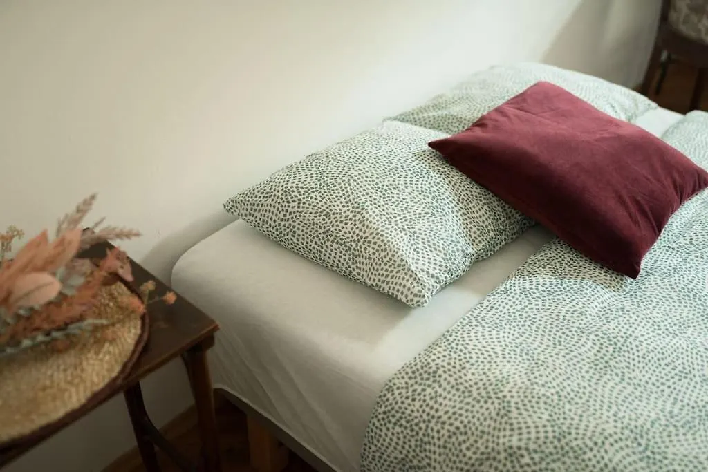 Artisan & Old-Timey 2 Bedrooms Home Πράγα Τσεχία